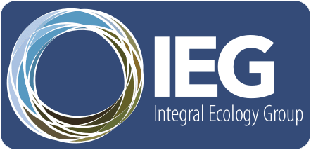 Integral Ecology Group Logo: Harmonizing Blue, Gold, and White Design representing Sustainable Solutions and Environmental Stewardship